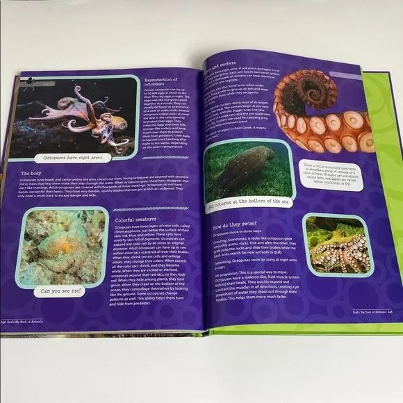 Master Books God's Big Book of Animals - Educational Book for Kids-Homeschool - Picture 11 of 16